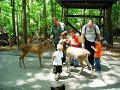 Maj2008 027